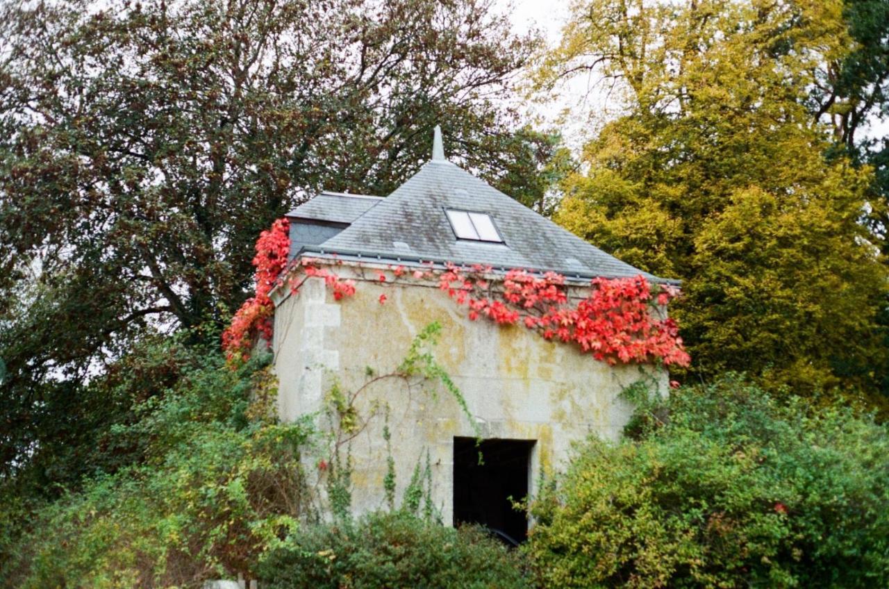 Chateau De La Huberdiere Nazelles-Négron Extérieur photo