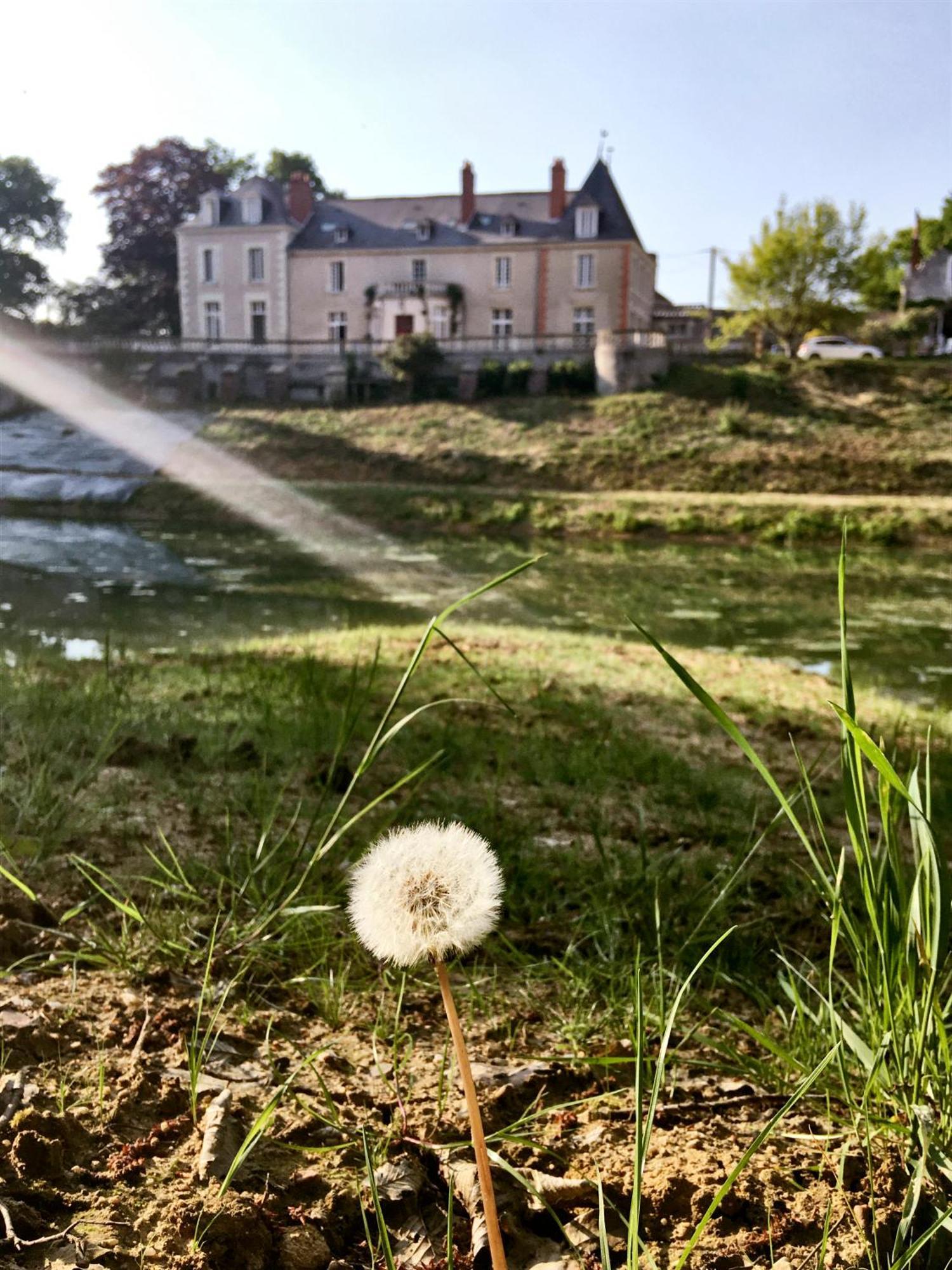 Chateau De La Huberdiere Nazelles-Négron Extérieur photo