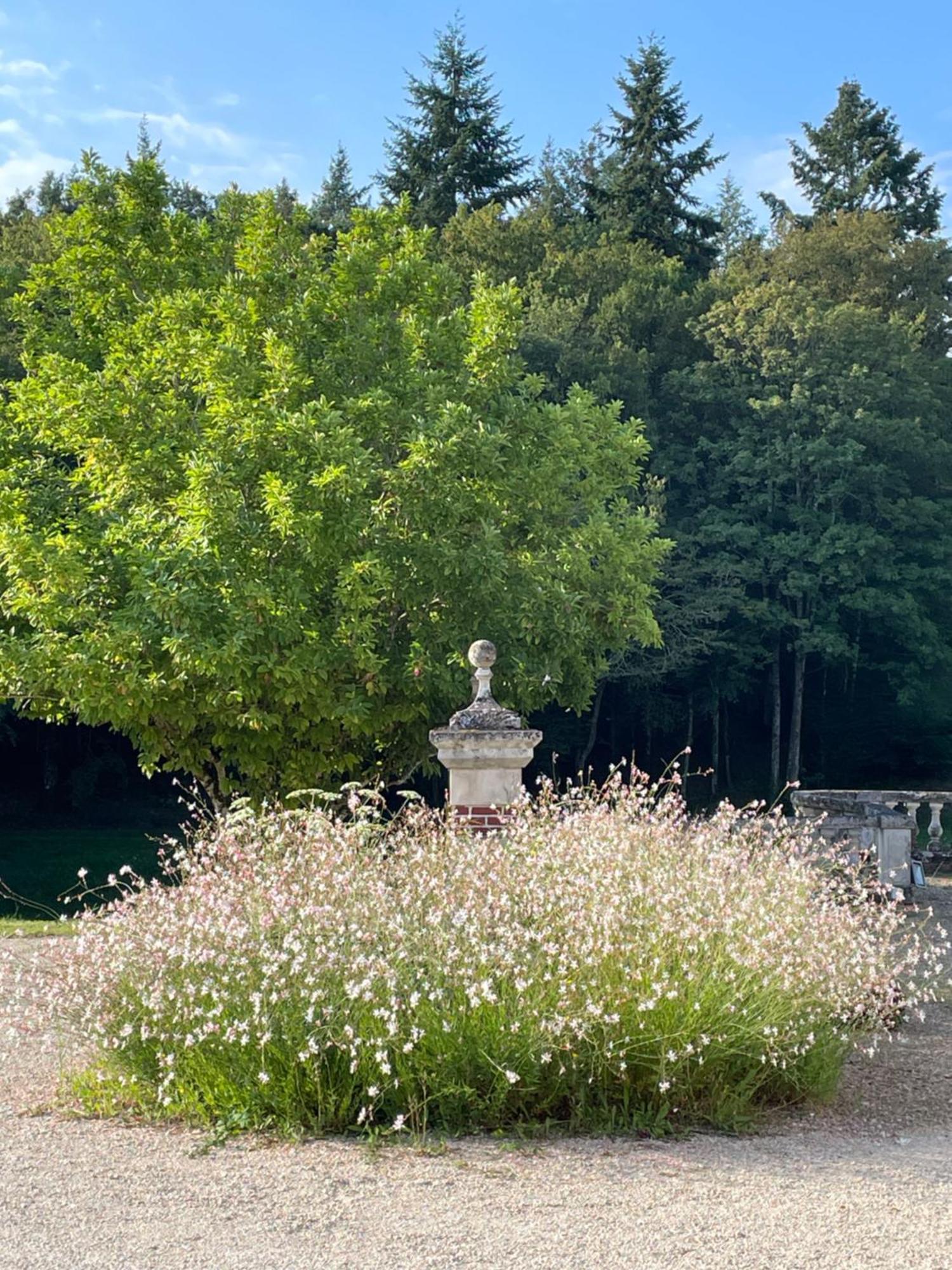Chateau De La Huberdiere Nazelles-Négron Extérieur photo
