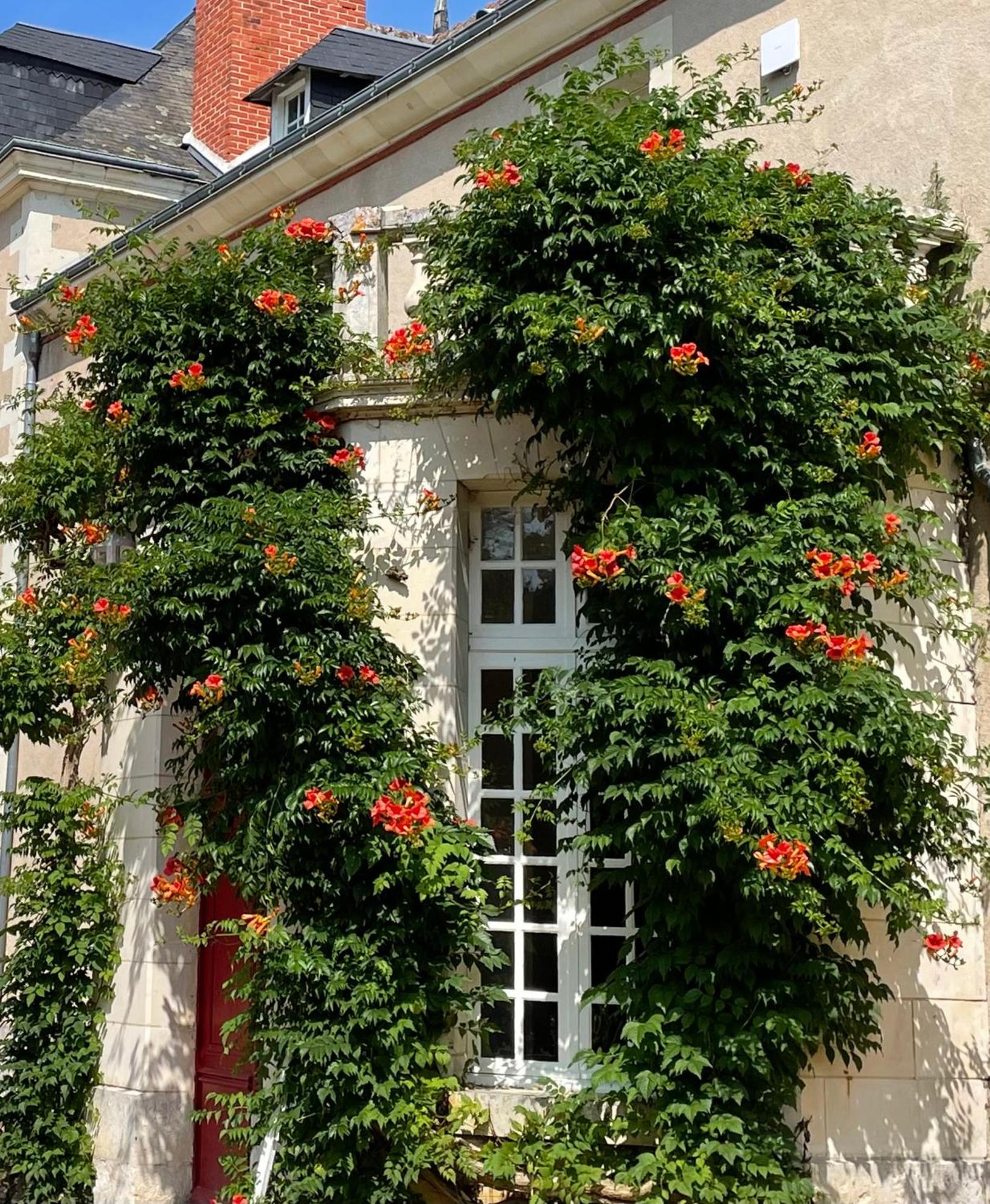 Chateau De La Huberdiere Nazelles-Négron Extérieur photo