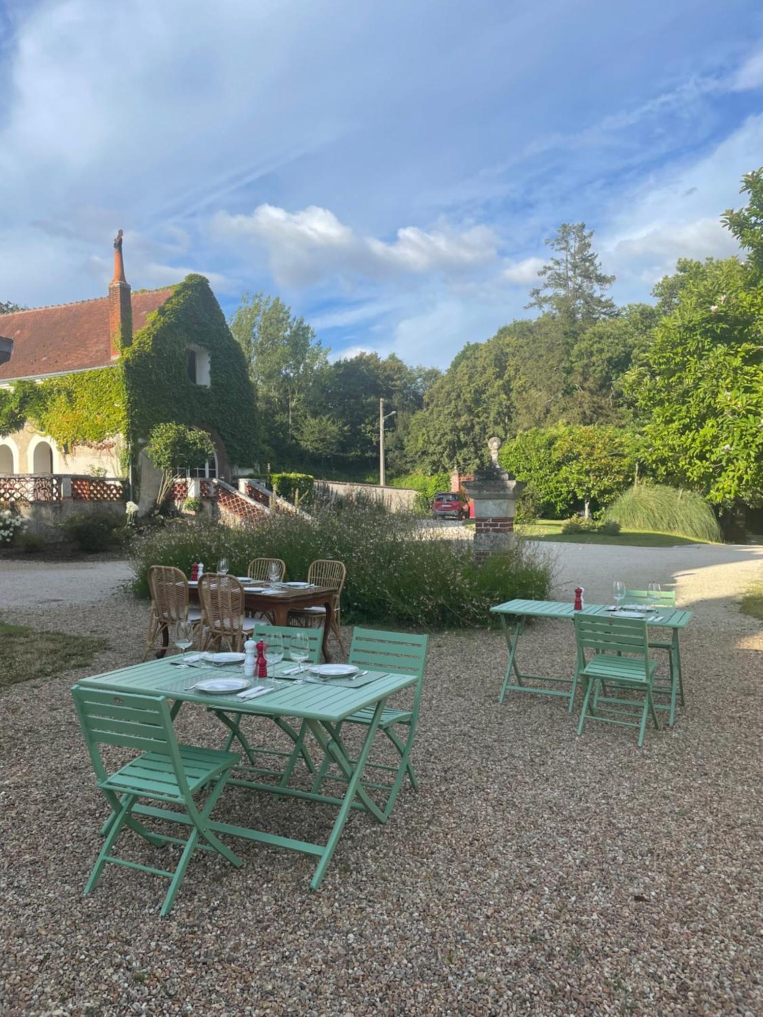 Chateau De La Huberdiere Nazelles-Négron Extérieur photo